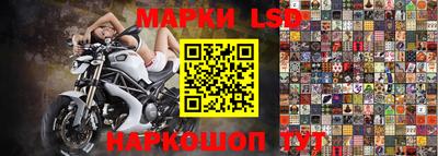 гашик Краснодар