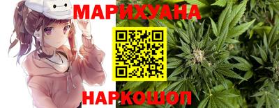 гашик Краснодар