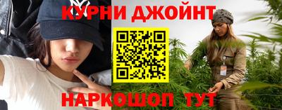 сатива Краснознаменск
