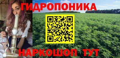 гашик Краснодар